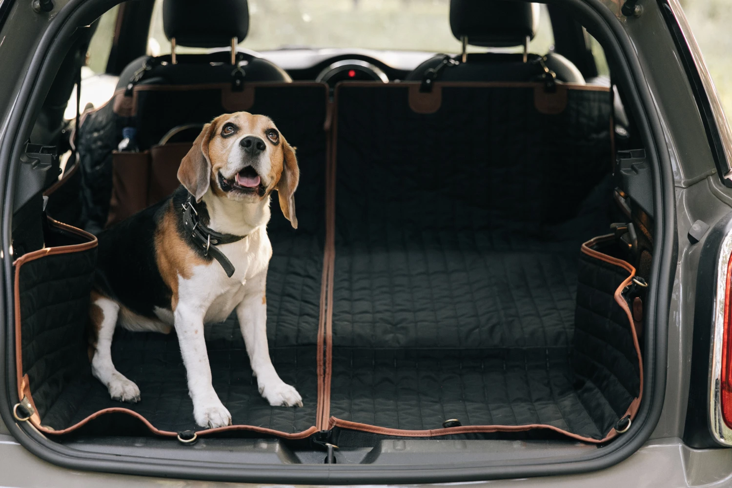 Rhodesian Ridgebacks back seat cover for Ram Truck