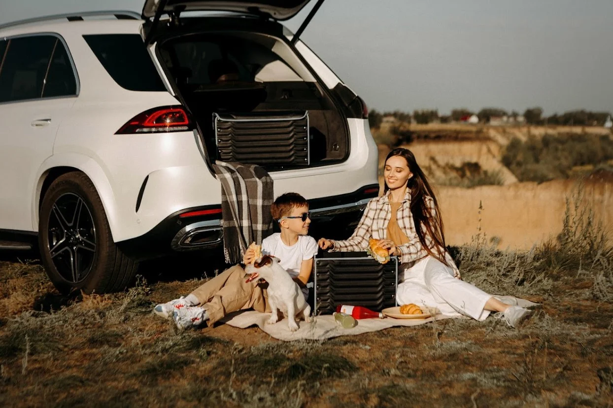 roll up picnic blankets