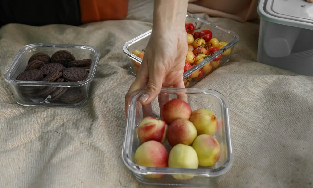 picnic blanket tote