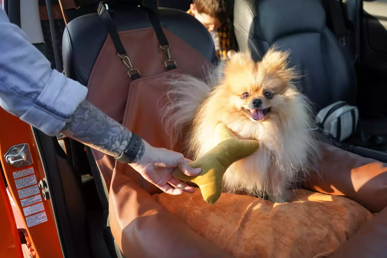 Ford EcoSport Dog Car Seat for French Bulldogs